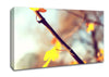 Autumn 2 Canvas Wall Art