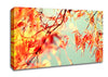 A Broader View Canvas Wall Art