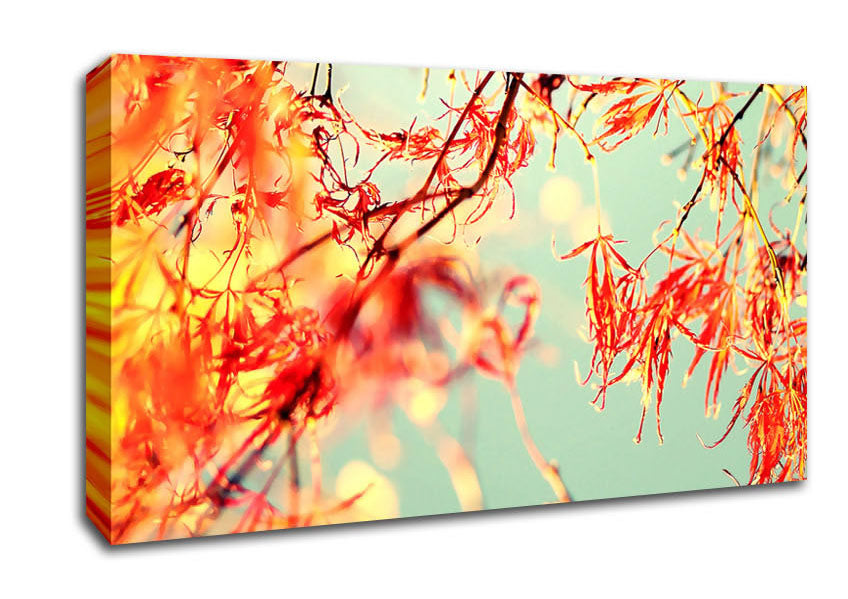 A Broader View Canvas Wall Art