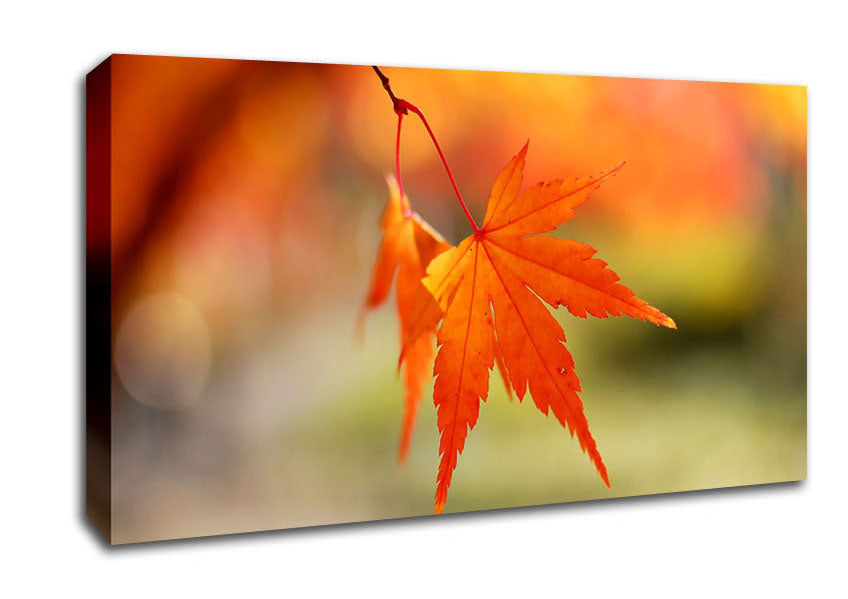 Orange Leaves Sparkle Canvas Wall Art