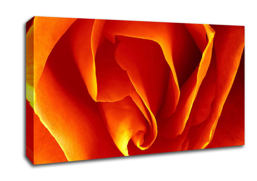Orange Rose Petals Canvas Wall Art