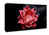 Floating Flower Canvas Wall Art