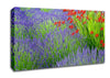 Lavender And Crocosmia Canvas Wall Art