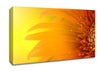 Orange Flower Mist Canvas Wall Art
