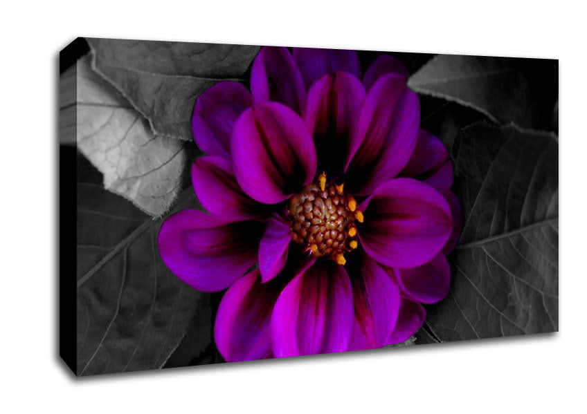 Fall Flower Canvas Wall Art
