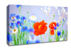 Lovely Poppy Garden Canvas Wall Art
