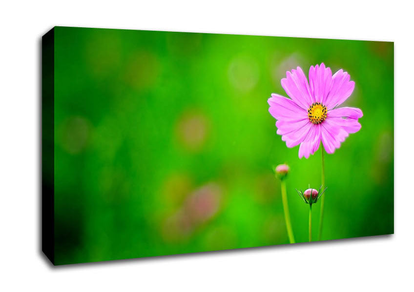 Pink Flower Green Background Canvas Wall Art