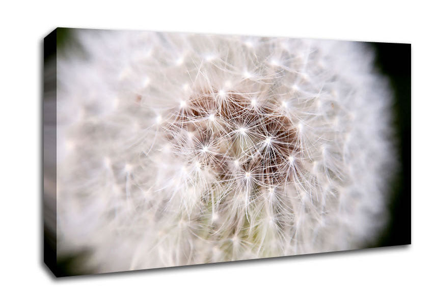 Make A Wish Canvas Wall Art