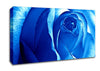 Blue Rose Canvas Wall Art