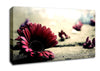 Missing Petals Canvas Wall Art