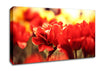 Memory Canvas Wall Art
