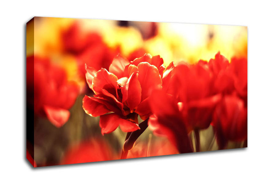 Memory Canvas Wall Art