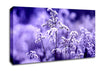 Motion Blur Canvas Wall Art