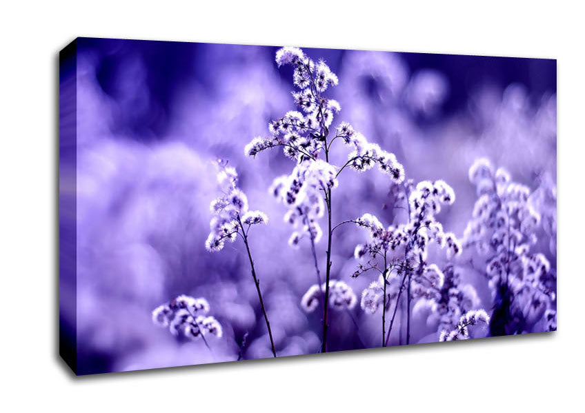 Motion Blur Canvas Wall Art