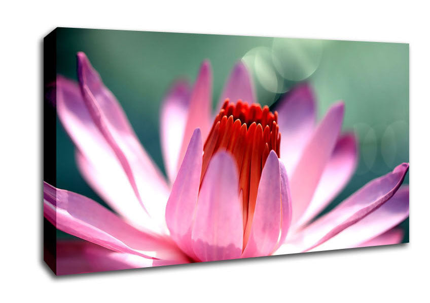 Light Purple Petals Canvas Wall Art