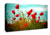 Beautiful Poppy Field Skies Canvas Wall Art
