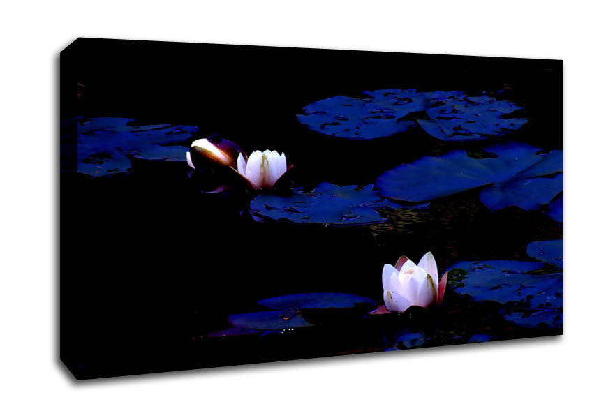 Pink Water Lily On Blue Canvas Wall Art
