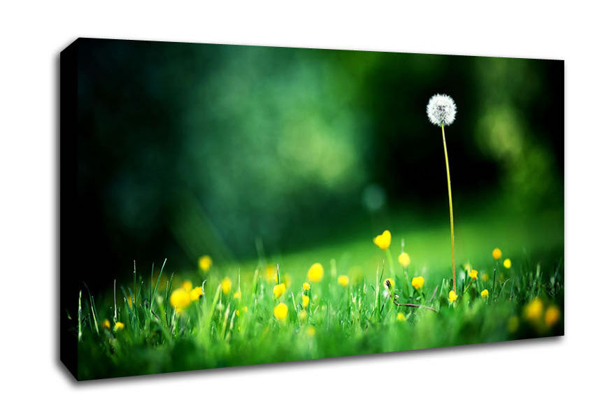 My Last Wish Canvas Wall Art