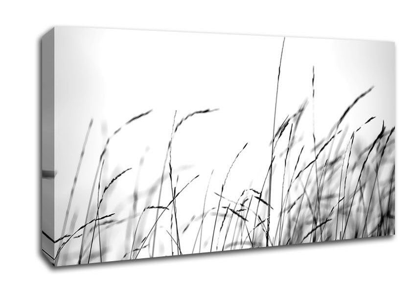 Little Shadow Canvas Wall Art