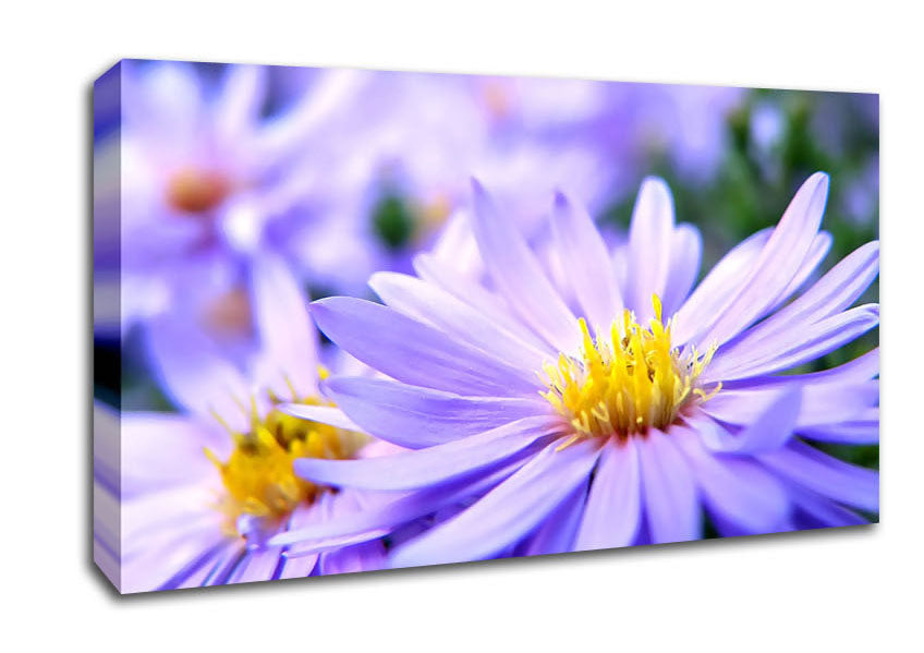 Pretty Violet Flowers Canvas Wall Art