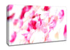 Pink Orchid Galour Canvas Wall Art