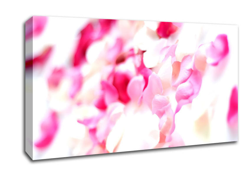 Pink Orchid Galour Canvas Wall Art
