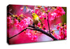 Mountain Cherry Bird Canvas Wall Art