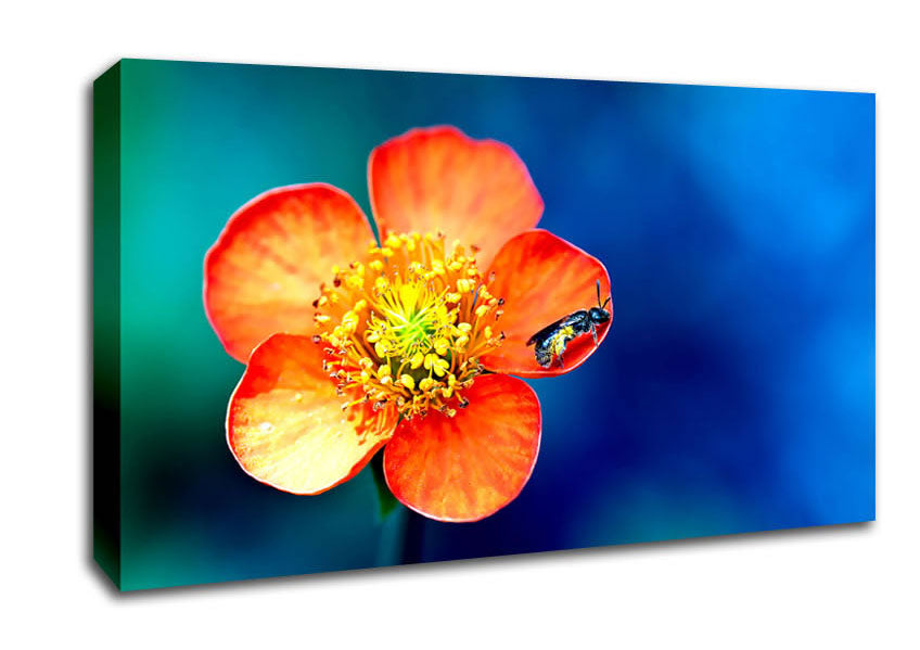 Pollen Overdose Canvas Wall Art