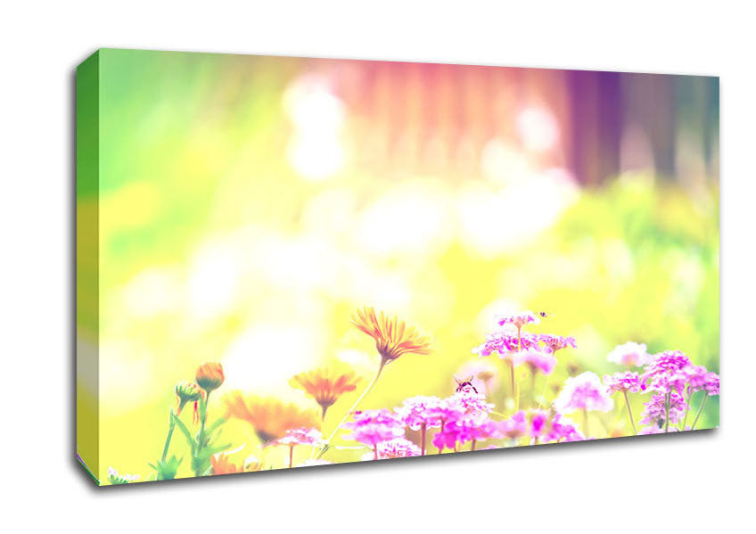 Marigold Lilac Purple Flowers Canvas Wall Art