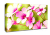 Purple Verbena Canvas Wall Art