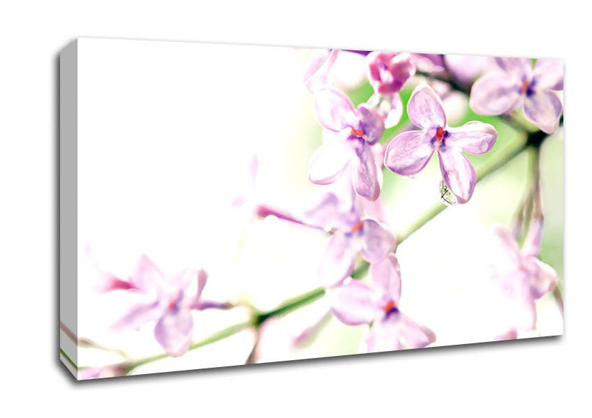 Lilac Flowers Canvas Wall Art