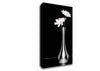 Just A Hint Of Pink Canvas Wall Art