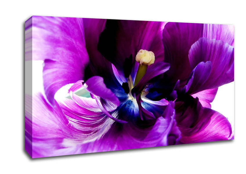 In The Purple Centre Of Beauty Canvas Wall Art