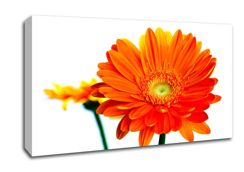 Orange Flames Canvas Wall Art