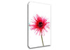 Pink Feather Flower Canvas Wall Art