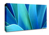 Jungle Leaves Canvas Wall Art