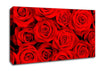 Lovely Roses For The One I Love Canvas Wall Art