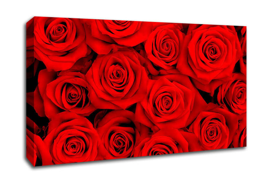 Lovely Roses For The One I Love Canvas Wall Art