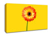 Orange Gerbera On Yellow Canvas Wall Art