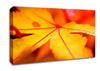 Orange Winter Leaf Canvas Wall Art