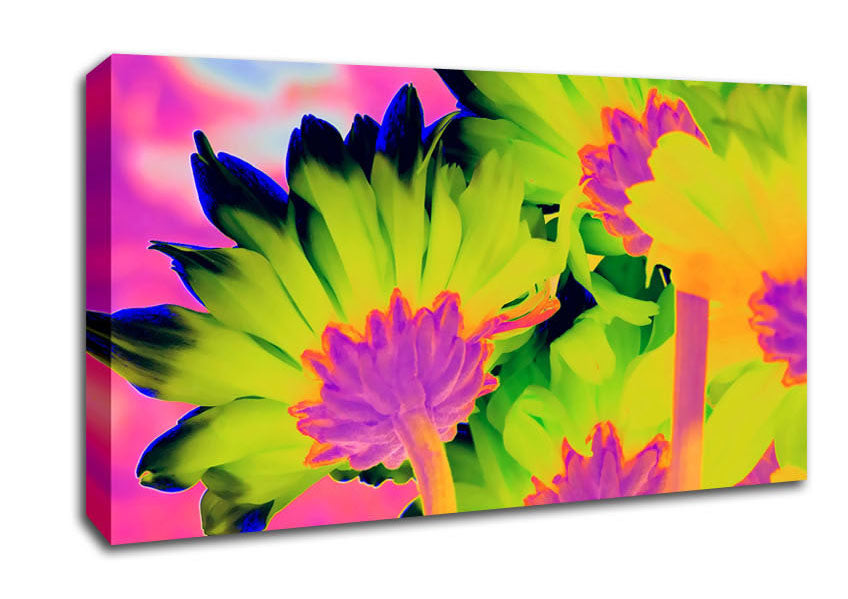 Psychedelic Petals Canvas Wall Art