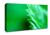 Jagged Green Leaves Canvas Wall Art