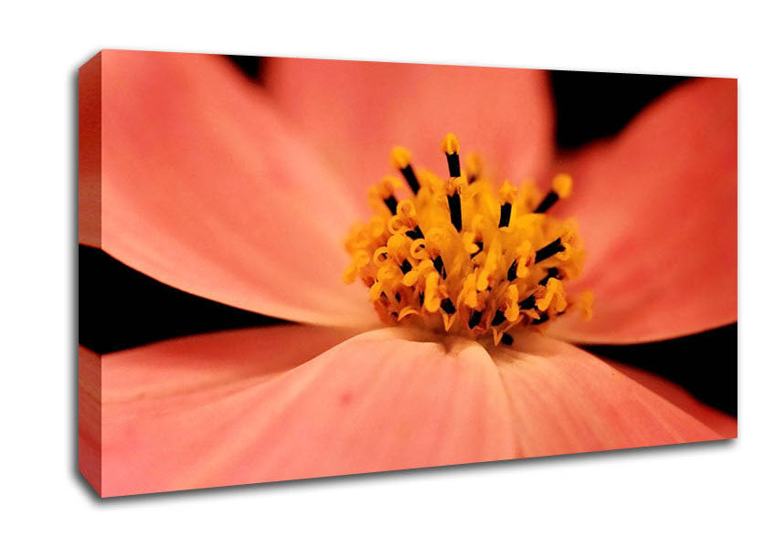 Orange Petal Beauty Canvas Wall Art