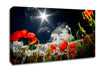 Poppy Field Sun Star Canvas Wall Art
