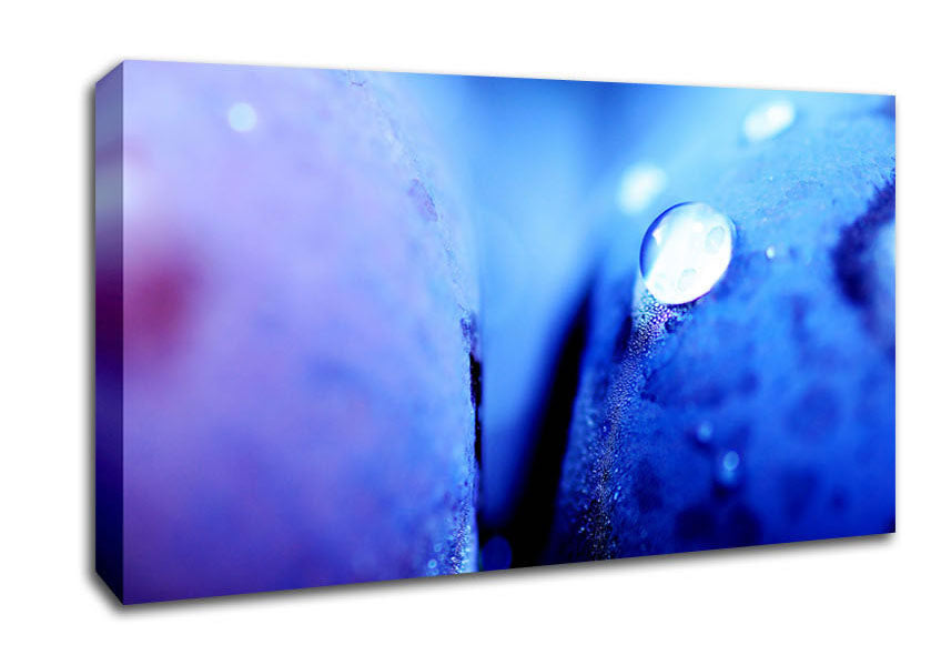 Blue Petal Water Droplet Canvas Wall Art