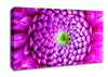 Pink Petal Ocean Canvas Wall Art