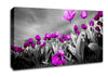 Purple Tuilp Skies B n W Canvas Wall Art