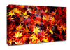 Autumn Spray Canvas Wall Art
