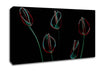 Abstarct Neon Night Flowers Canvas Wall Art