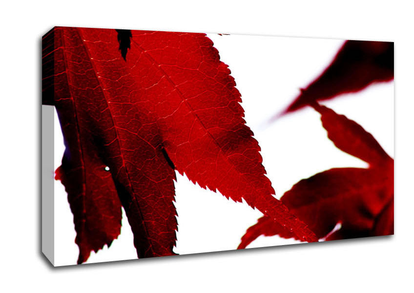 Leaves Canvas Wall Art